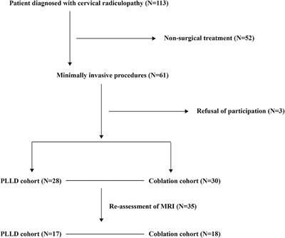 Clinical and Radiological Comparisons of Percutaneous Low-Power Laser Discectomy and Low-Temperature Plasma Radiofrequency Ablation for Cervical Radiculopathy: A Prospective, Multicenter, Cohort Study